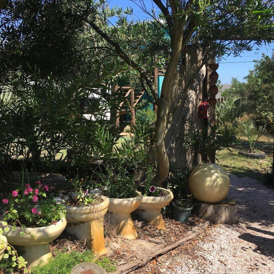 לה פלומה La Brujula Hostel מראה חיצוני תמונה